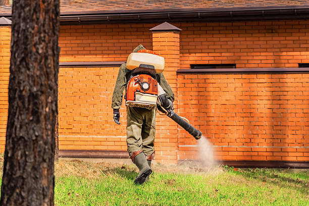 Trusted Fumigation Services service in Bell Canyon, CA - Nex Pest Control
